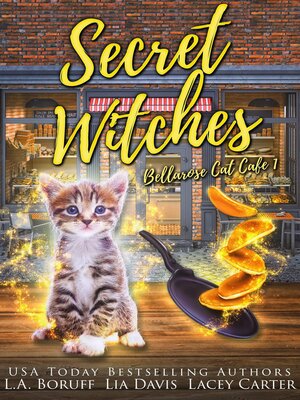 cover image of Secret Witches